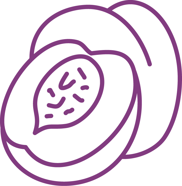 Category Icon Set-05