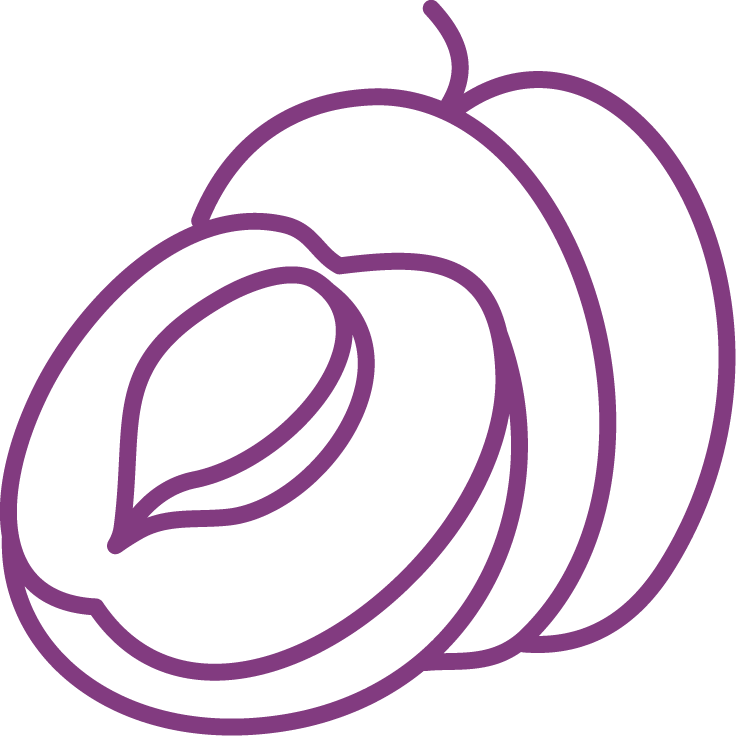 Category Icon Set-06